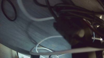 alejoduarte55 webcam model stream image