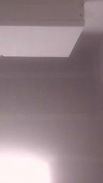 Cerditoi webcam model stream image