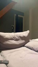 Anaspnv webcam model stream image