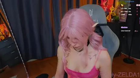 zelda_1 webcam model stream image