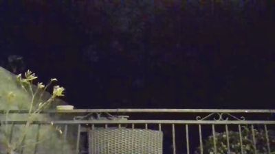 Jyl151 webcam model stream image