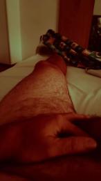 PorcoCane86 webcam preview