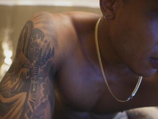 Logan Varela webcam model stream image