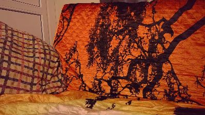 jamismu webcam model stream image