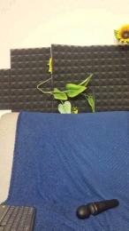 StefaniaPT webcam model stream image