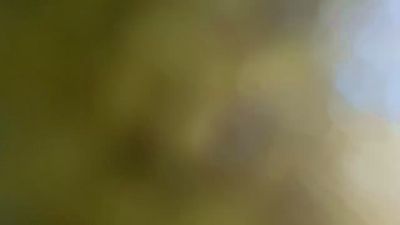 BIGONEPD26 webcam model stream image