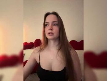 North-Pole webcam model stream image