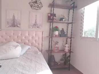 _sassy_girl webcam chaturbate model stream image