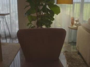 emma_lu1 chaturbate stream image, 29.05.2025 19:40