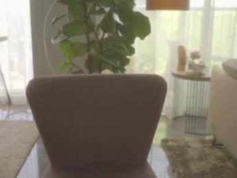 emma_lu1 chaturbate stream image, 26.06.2025 14:30
