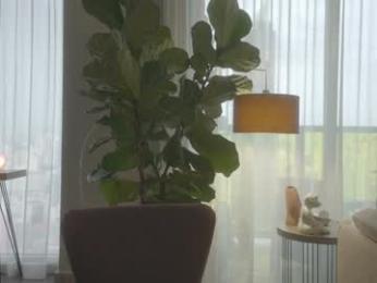 emma_lu1 chaturbate stream image, 30.06.2025 18:50