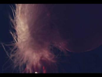 Taanni bongacams stream image, 19.09.2025 19:40