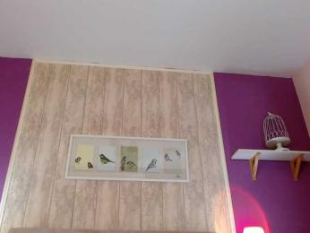 XKimoraX bongacams stream image, 26.09.2025 18:00