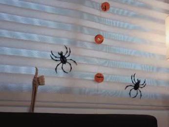 midori__san chaturbate stream image, 03.11.2025 14:30