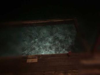 Taanni bongacams stream image, 27.11.2025 15:00