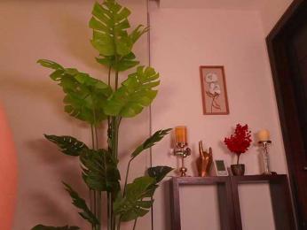 LunaMystyque bongacams stream image, 13.05.2026 19:10