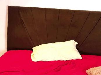 lexa-28- bongacams stream image, 15.05.2026 05:50