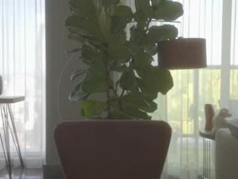 emma_lu1 chaturbate stream image, 16.03.2025 14:30