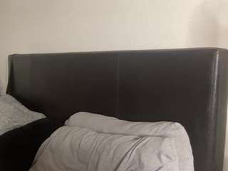 t1ger camsoda stream image, 16.03.2025 19:00