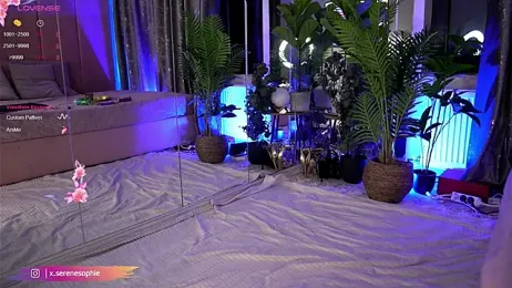 Serene_Sophiex stripchat stream image, 03.02.2025 20:30