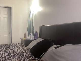 t1ger camsoda stream image, 07.02.2025 05:50